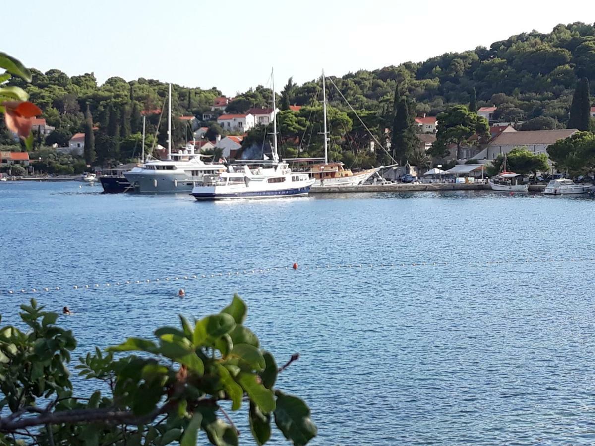 Apartmani Kljunak Zaton  Exteriör bild